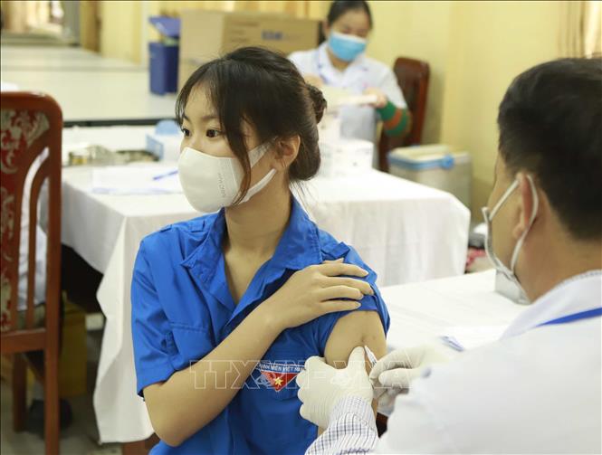 Rà soát các quy định của pháp luật về tiêm vaccine phòng Covid-19